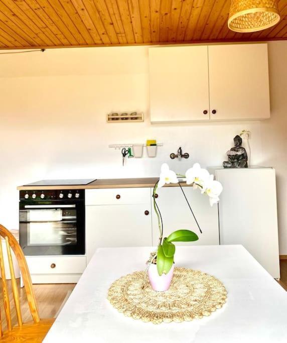 Zenhouseapartment *