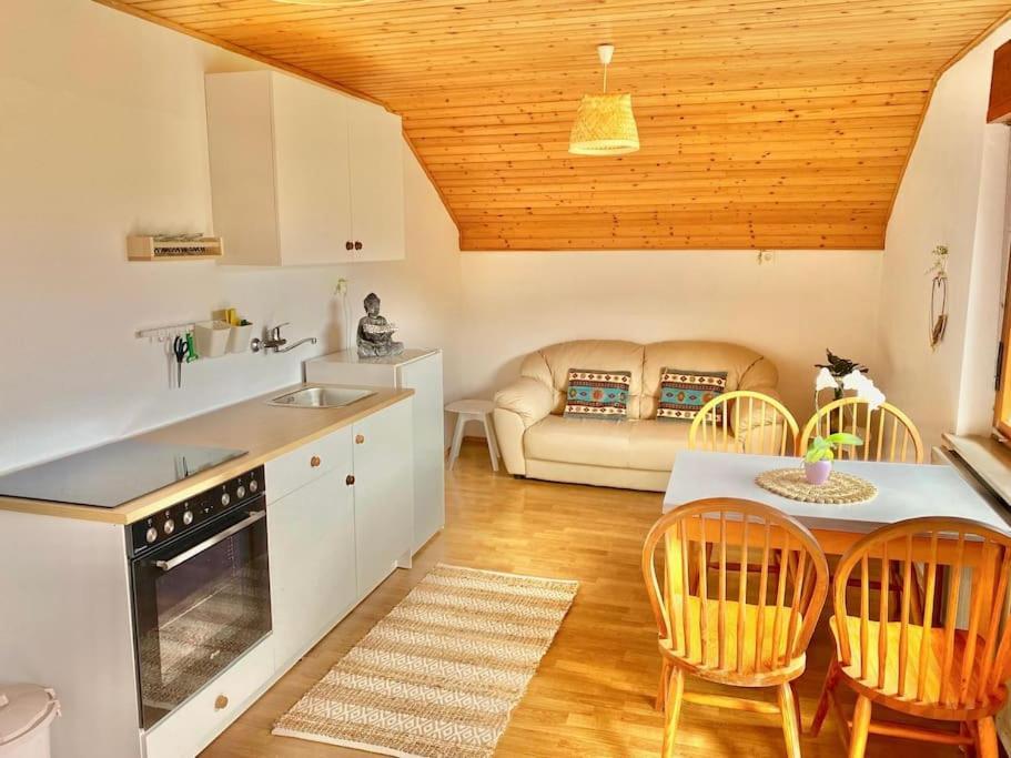 Zenhouseapartment * Ljubno